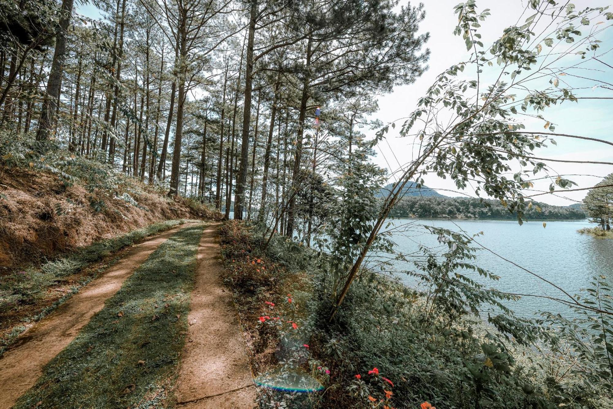 Aparthotel Dahlia Dalat Exteriér fotografie