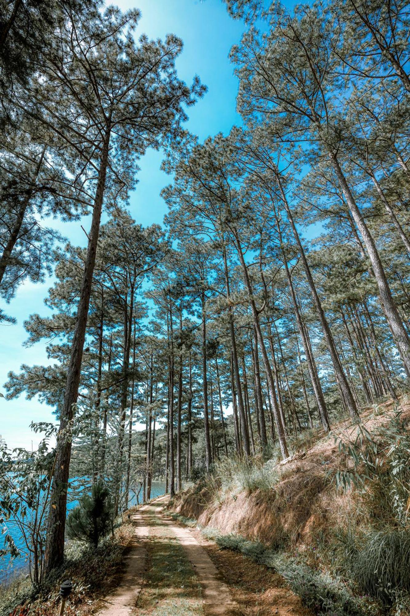 Aparthotel Dahlia Dalat Exteriér fotografie