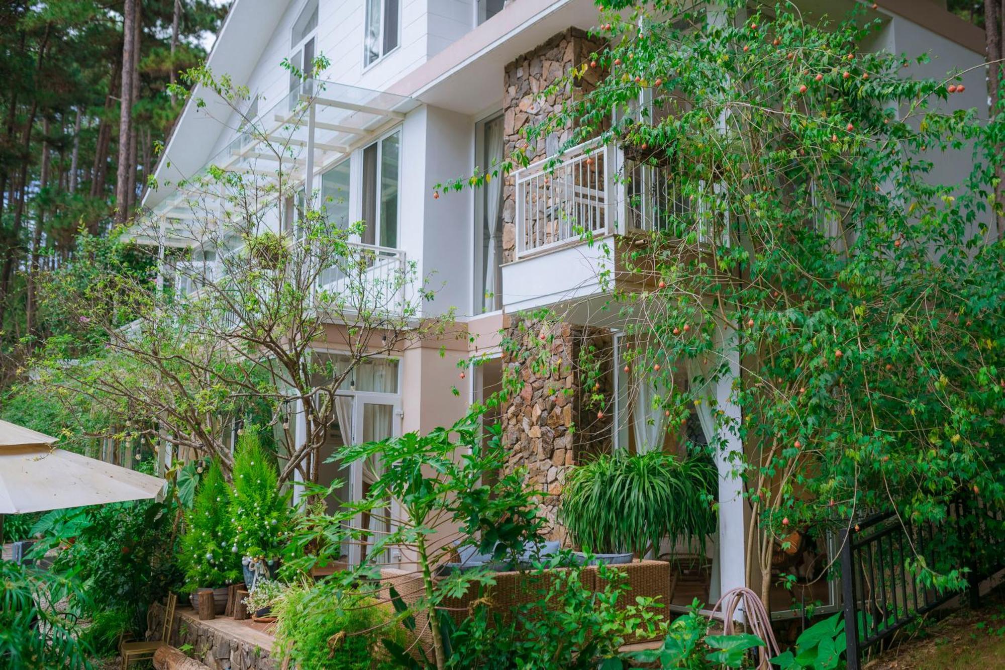 Aparthotel Dahlia Dalat Exteriér fotografie